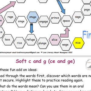 Soft c and g game (ce and ge)