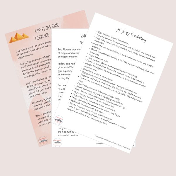 Zap Flowers - Teenage Agent! A soft ge, gi, gy text